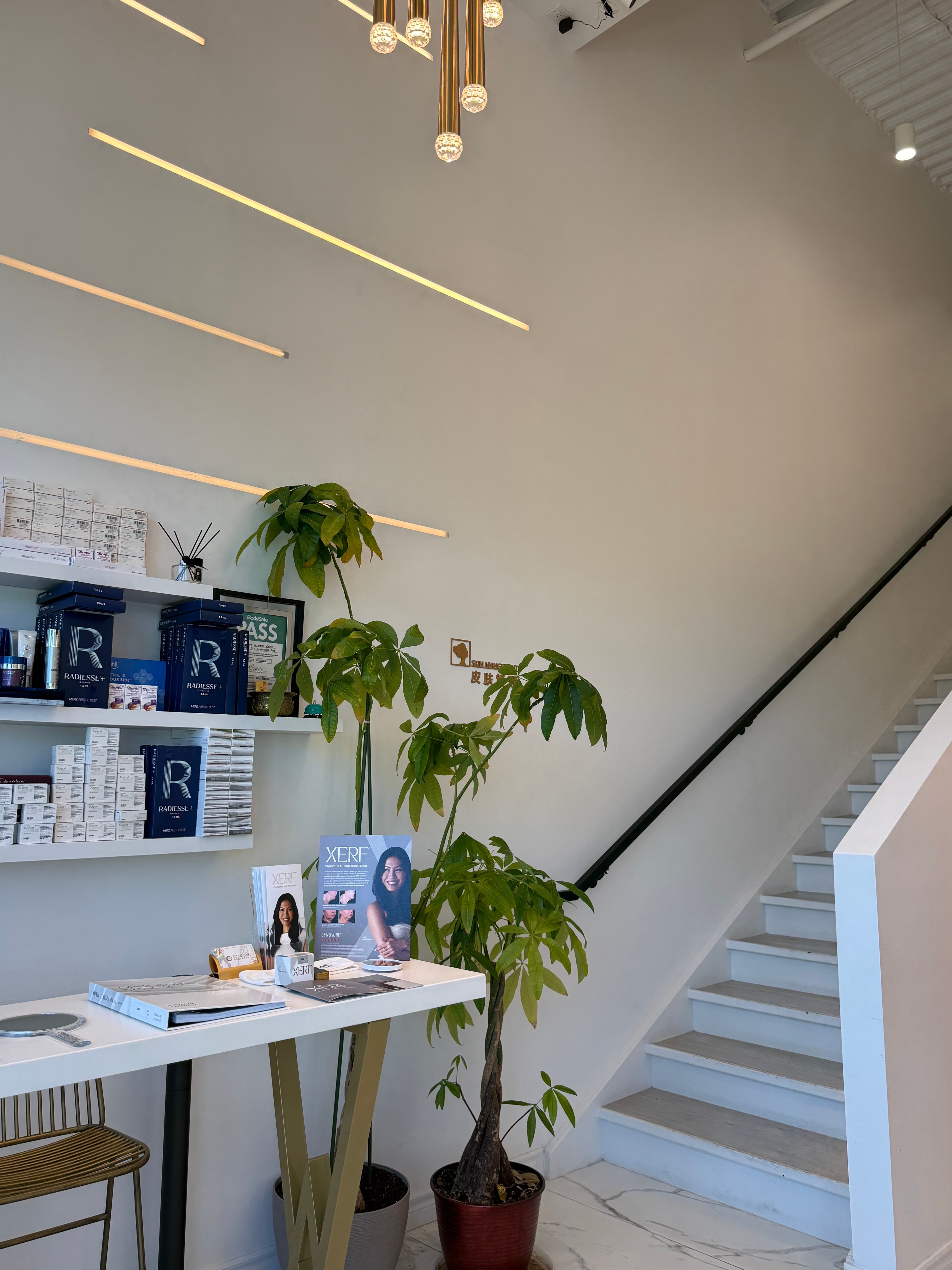 Modern skincare clinic interior with product displays, a white desk, money tree, and white staircase.